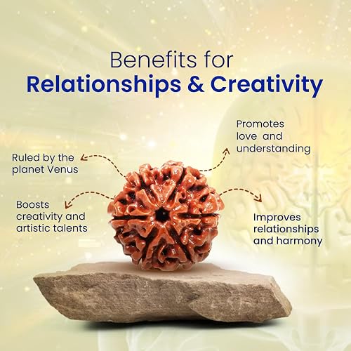Holy Rudraksha 6 Mukhi Rudraksha – Nepal Origin | Natural & Certified view 4