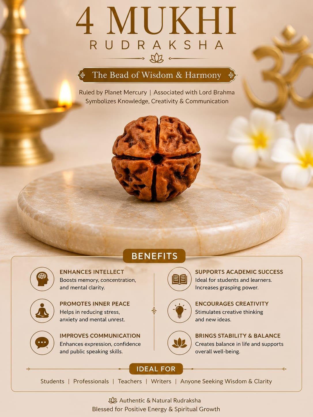 Holy Rudraksha 4 Mukhi Nepal Origin Rudraksha – Indonesian Origin | Natural & Certified view 4