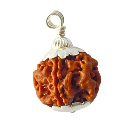 Holy Rudraksha 1 Mukhi Rudraksha – Nepal Origin | Natural & Certified