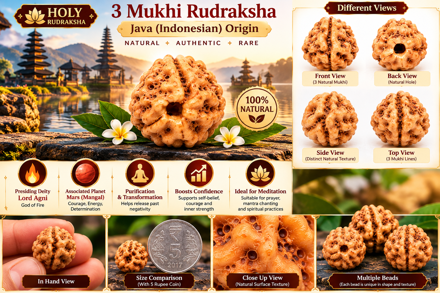 Holy Rudraksha 3 Mukhi Java Rudraksha – Indonesian Origin | Natural & Certified view 4