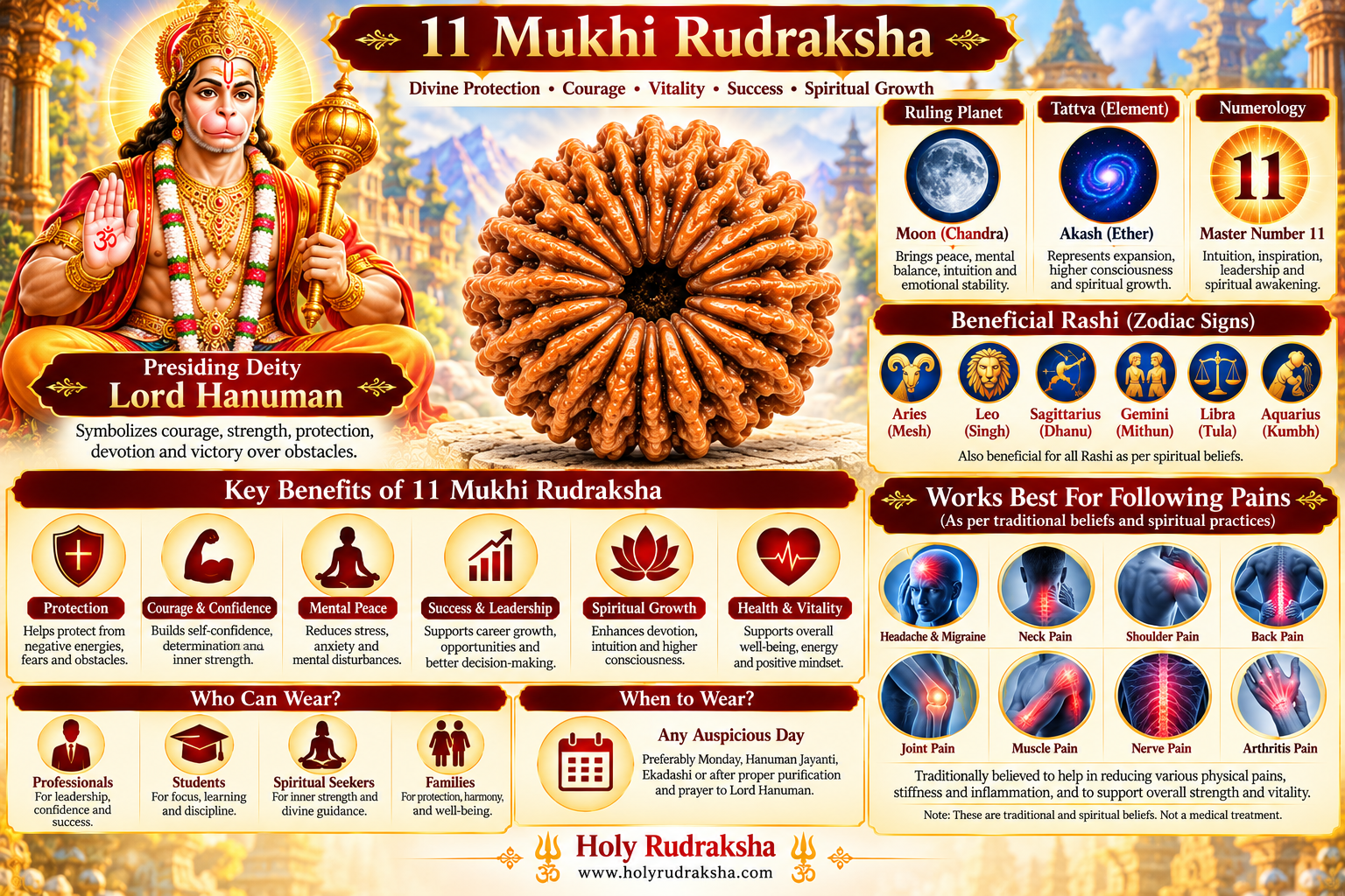 Holy Rudraksha 11 Mukhi Rudraksha – Nepal Origin | Natural & Certified view 4