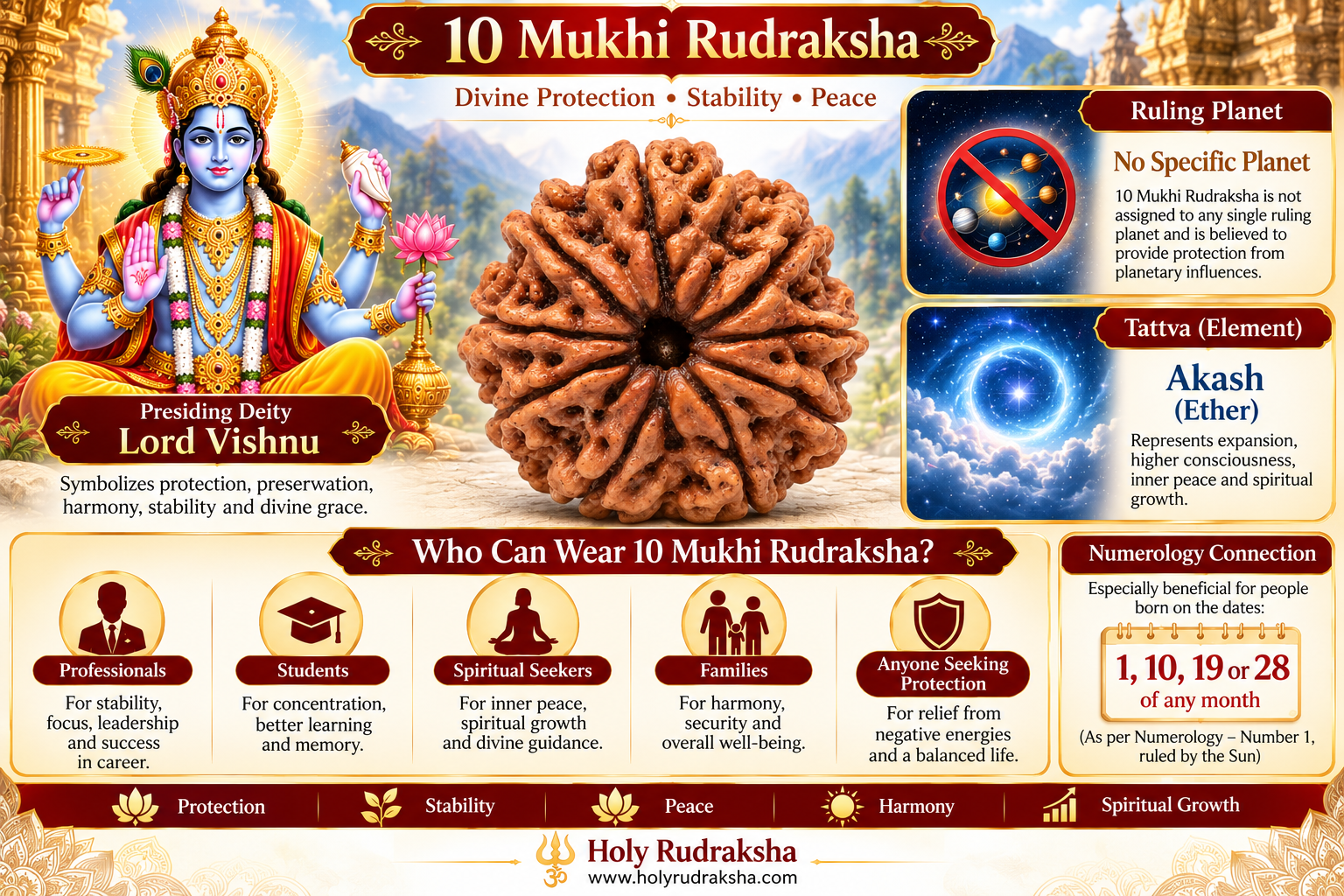 Holy Rudraksha 10 Mukhi Rudraksha – Nepal Origin | Natural & Certified view 3