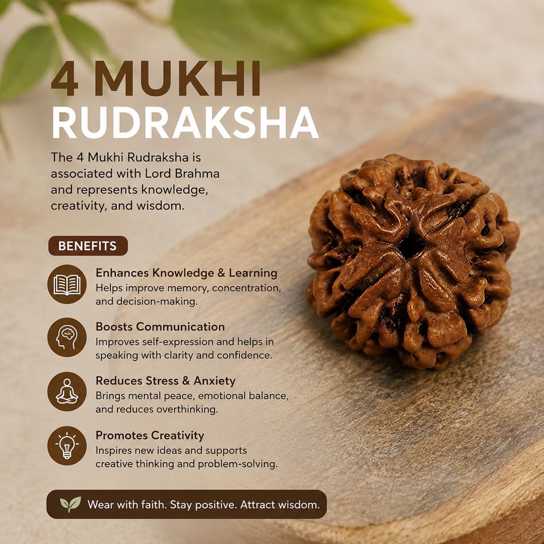 Holy Rudraksha 4 Mukhi Nepal Origin Rudraksha – Indonesian Origin | Natural & Certified view 5