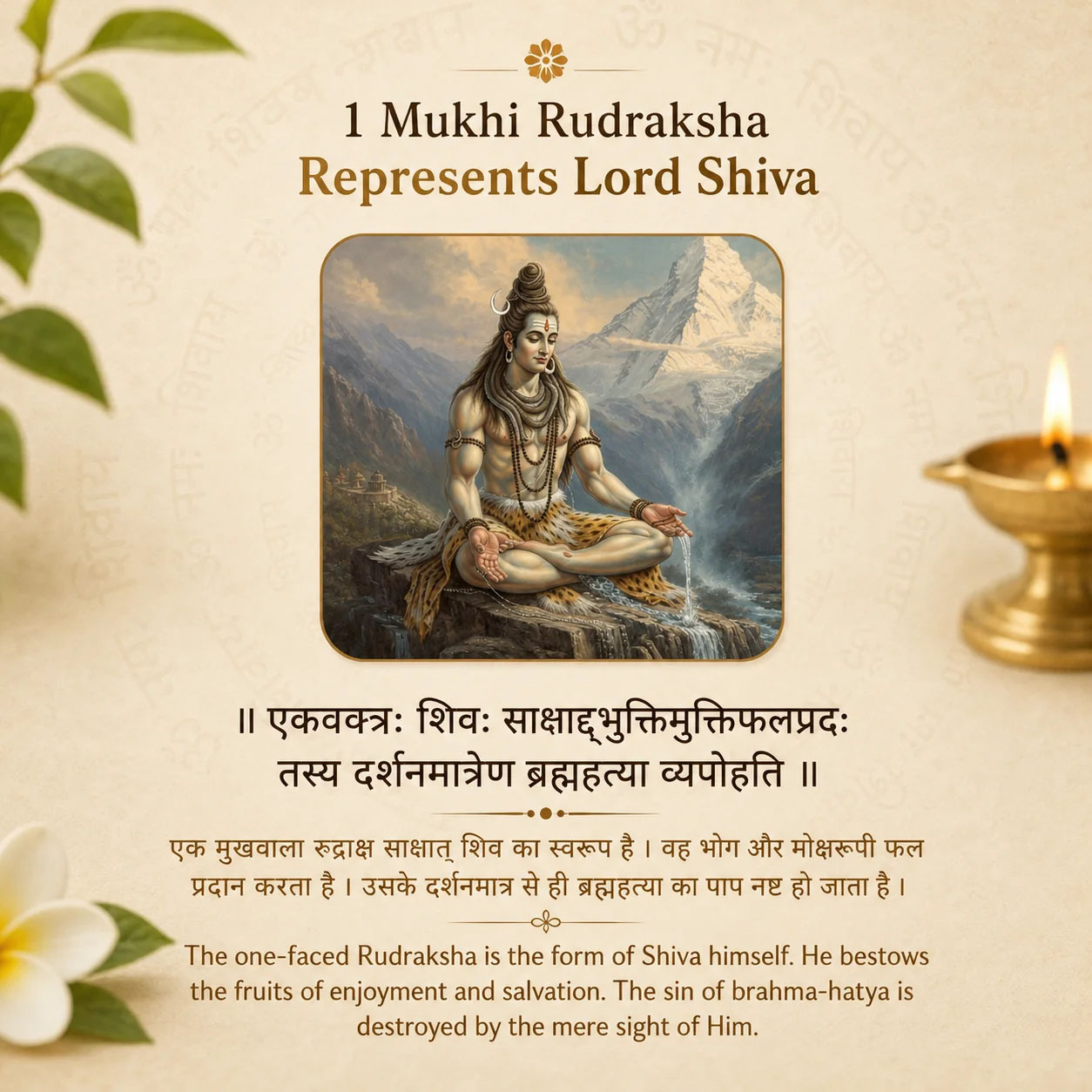 Holy Rudraksha 1 Mukhi Java Rudraksha – Indonesian Origin | Natural & Certified