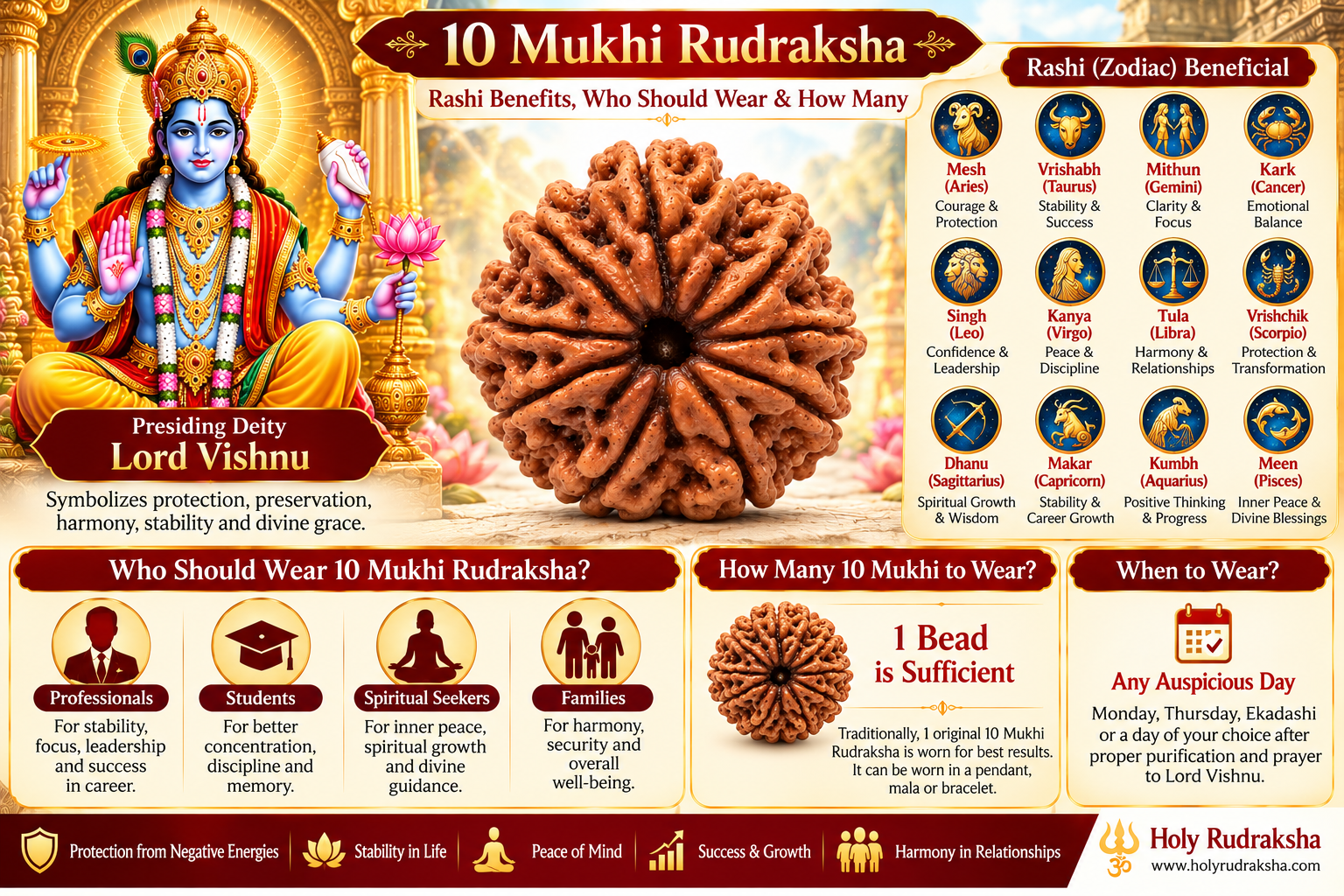 Holy Rudraksha 10 Mukhi Rudraksha – Nepal Origin | Natural & Certified view 2