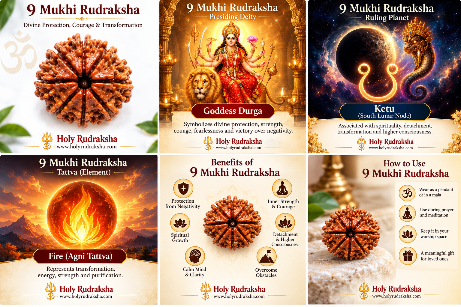 Holy Rudraksha 9 Mukhi Rudraksha – Nepal Origin | Natural & Certified view 3