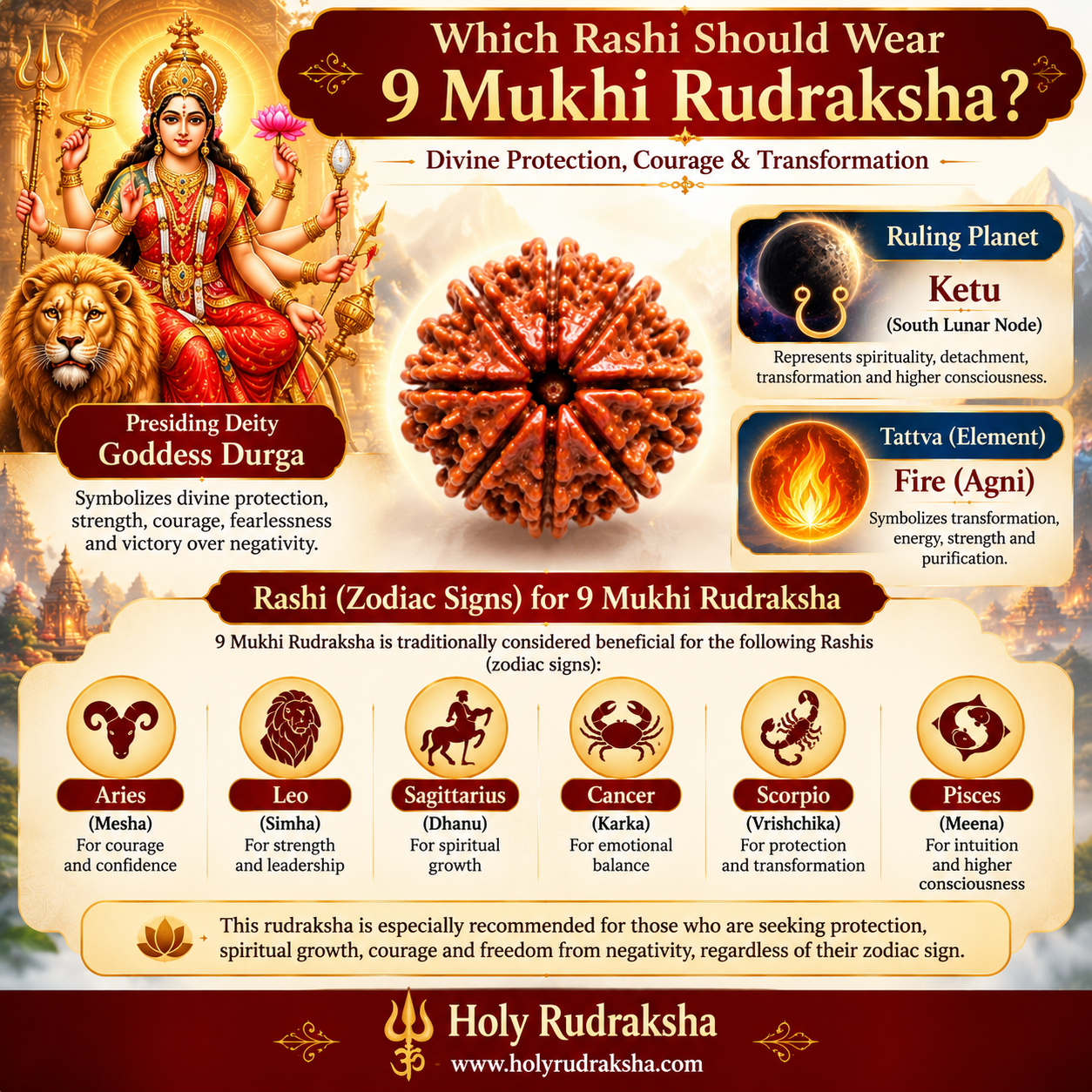 Holy Rudraksha 9 Mukhi Rudraksha – Nepal Origin | Natural & Certified view 4